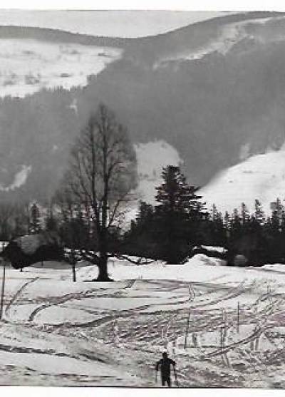 fot. J. Wendołowski - Beskid Śląski - lrajobraz zimowy z okolic Szczyrku (1965)