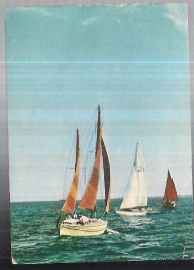 fot. J. Korpal - Regaty żeglarskie [1968]