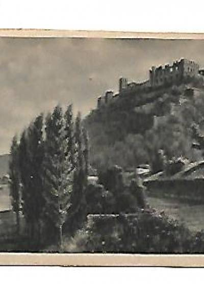A. Volkhofen jr. - Rhein. Ruine Rheinfels mit Blick auf St. Gear