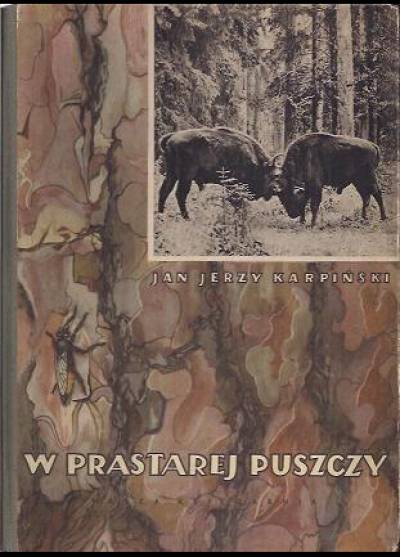 Jan Jerzy Karpiński - W prastarej puszczy
