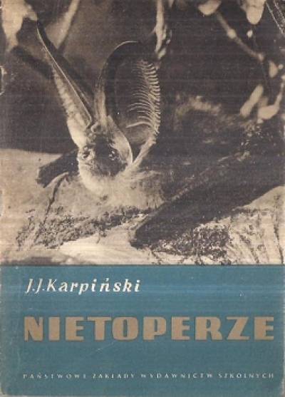 J.J. Karpiński - Nietoperze