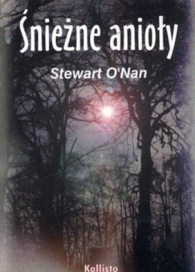 Stewart O`Nan - Śnieżne anioły